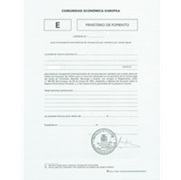 Spanish EU Community Licence for the Transport example