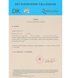 Example of Certificate of Professional Competence Transport Manager Denmark